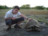 Riesenschildkröte (rechts)